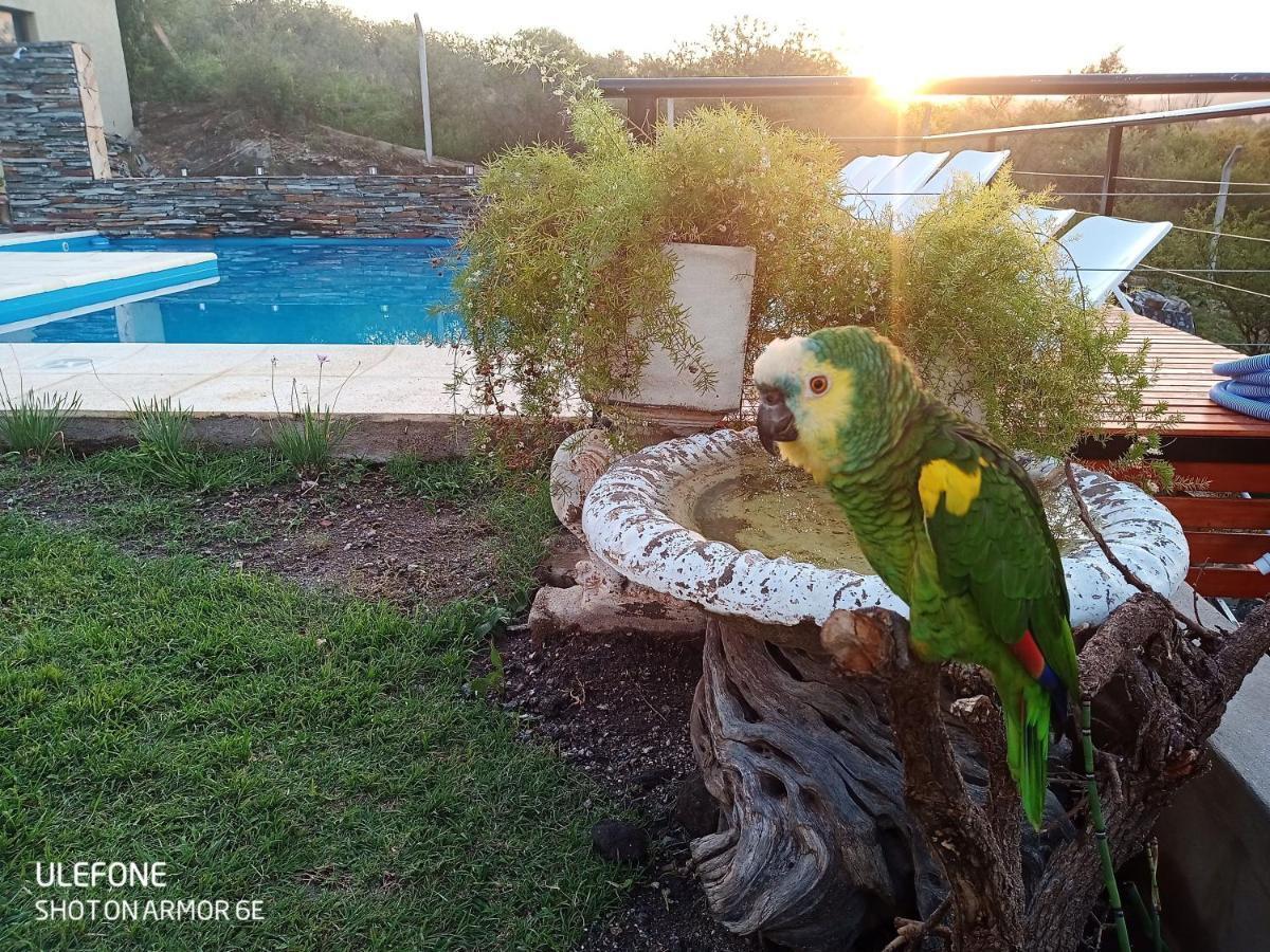 Appartamento Miracampo San Antonio de Arredondo Esterno foto